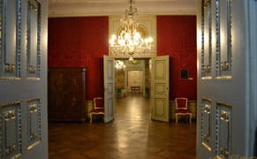 Romania's Oldest Museum in Crisis