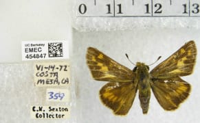 Museums Turn to Crowdsourcing to Unlock Secrets of their Collections