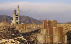 Capturing the Chinese Copy Town Trend