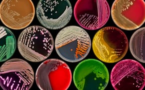 The Hidden Beauty of Disease Under Our Skin