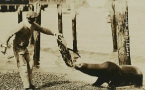 Rare Postcards Reveal Early 20th Century Panoramas