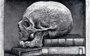 Etched Oddities and a Wandering Skull