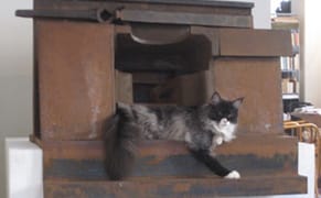 Is That Your Cat on the Caro Sculpture?