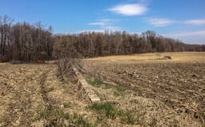 Early Richard Serra Land Work Finally Gets Cultural Protection