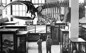 Museum Galleries So Incredible, It's Hard to Believe They're Gone