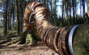 Treading the Paths of History, with Art as a Guide