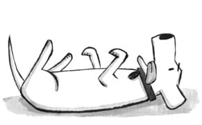 Contemplation Is Hard Work