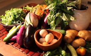 An Art CSA Grows in Brooklyn