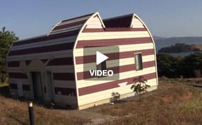 The IRL Land Where Cats Rule