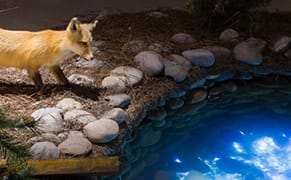 The Rustic, Intricate Fantasy of Enrique Martínez Celaya