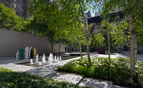 MoMA Turns Their Private Garden into a Public Park for the Mornings