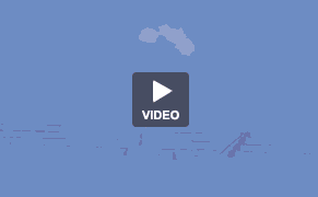 And this Concludes Videodrome…Let the Sunshine In