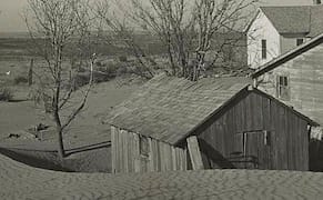 "What Year Are You Interested In?" by Amy Lawless