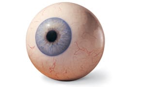 1.8 Million Square Feet of Art: Sunday, September 29, at Mana Contemporary