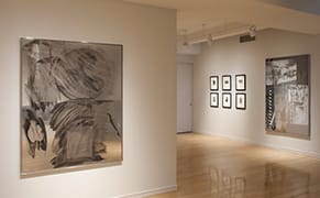 Robert Rauschenberg and Photography