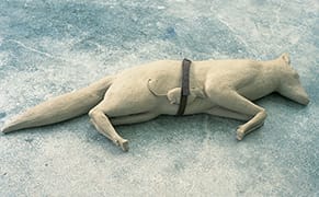 Rare Public Lecture by Artist Mark Manders