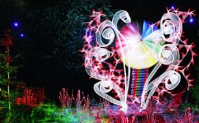 A Photographer Who Paints with Light