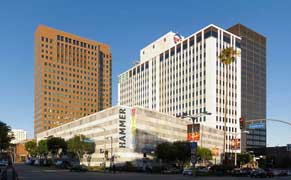 Starting Next Year, LA's Hammer Museum Will Be Free