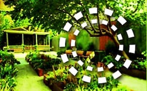 Play (LABS): A Public Art Installation in East Harlem Gardens