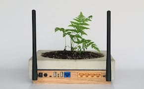 Toward a Slower Internet