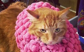 Yarn Bombing ArtPrize