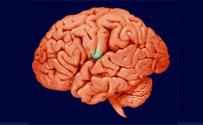 Better Art Appreciation Through Brain Stimulation