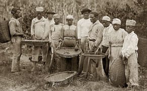 Seeking Humanity in the Barbarity of Brazil's Slave Past