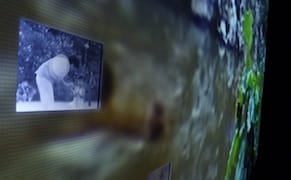 Village Demolition and Absurdist Film: Yang Fudong's China