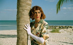 The Twilight Performance of an Aging Queen