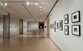 Photographer as Advocate: Lewis Hine's America