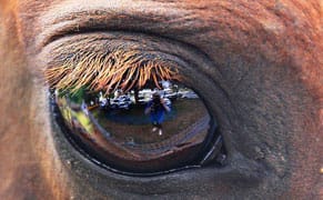 All the Pretty Selfies Are Here to Stay