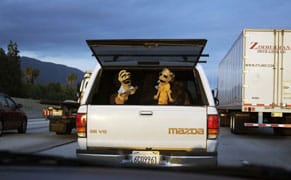 Traffic and the Human Condition