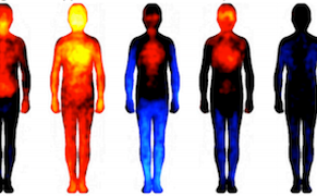 The Topography of Emotion: New Study Maps Feelings in the Body