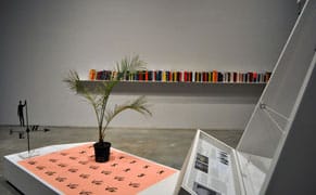 Imagined Books and Phantom Islands: Making Art from Cultural Castoffs