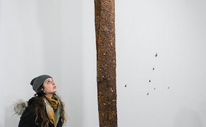 New Directions at Greenpoint Gallery Night