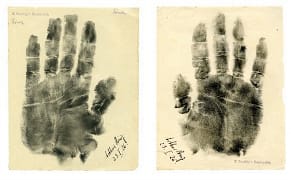 Five Discoveries Among the Eclectic Curiosities of the 2014 Metro Show