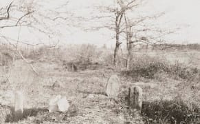 Museum Archive Leads Bronx Students to Forgotten Slave Burial Ground