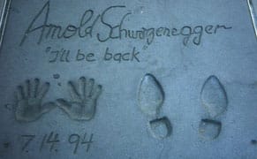 Not Your Average Selfie