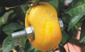 A New Generation of Palestinian Artists Converges in New York