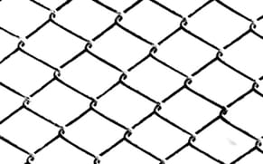 Cady Noland and Diane Arbus Make a Picnic Out of You