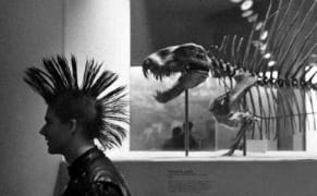 Easing up on Litigation, Getty Images Goes Free for Non-Commercial Use