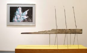 Sculptural Sorcery: Ian Pedigo's Assemblages of the Natural and Manufactured