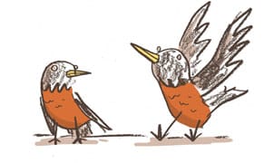 No Seriously, Put a Bird on It