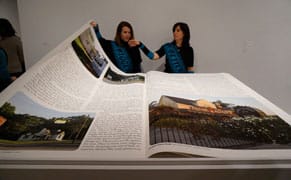 Whitney Biennial 2014: Where Have All the Politics Gone?