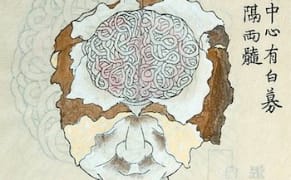 Research Reveals Artists' Brains May Be Structured Differently