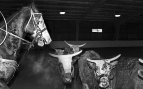 A Journal for Emerging Photography Endures in Print