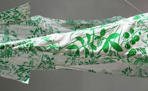 The Cold War in Florida's Wetlands