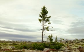 Photographing Ancient Organisms Before They Disappear