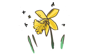 A Color Explosion Waiting to Happen