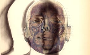 Surgery as Performance Art: A Restoration Comedy